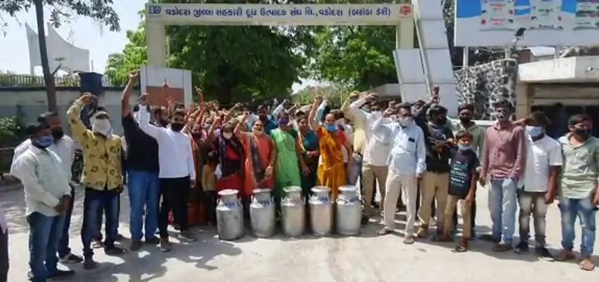 Cattle keepers of Bhavpura Bujeta village outraged by non-payment of milk and closure of their village society