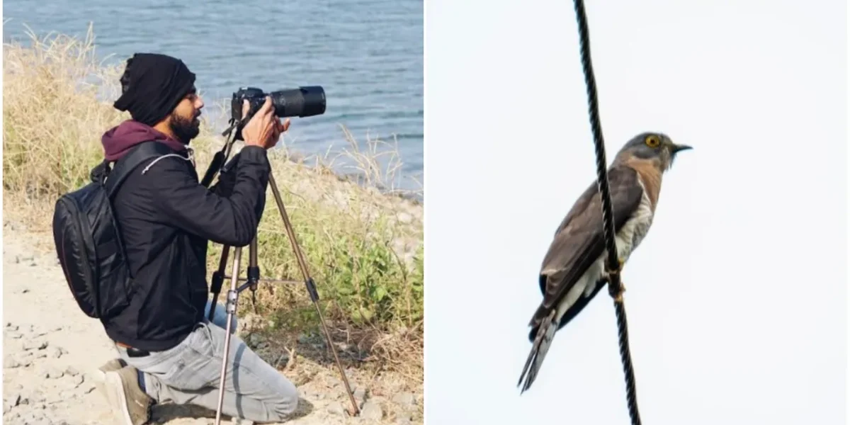 Bird whose chirping was heard in forest of Balaram was seen in Pavagadh