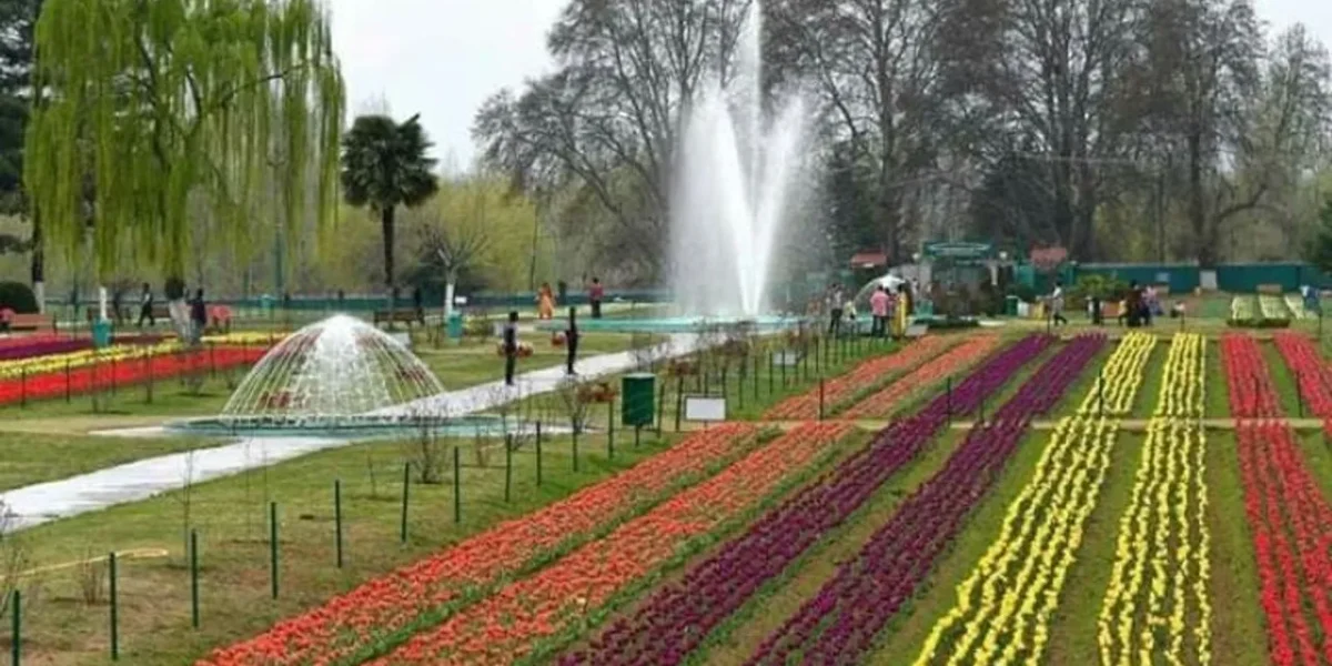 J&K Lt Governor Manoj Sinha: Tulip festival perfect opportunity to display Kashmir’s unparalleled beauty