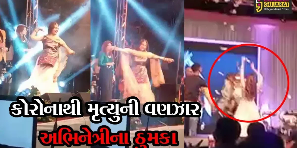 Gujarati actress musical night at Padra attended by people in big numbers