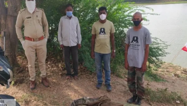 Gujarat SPCA and forest teams caught two crocodiles from two different places in Vadodara city and district