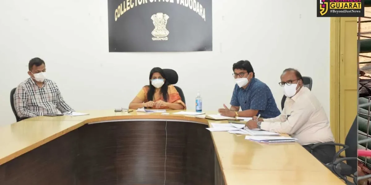District Collector conducts online review of covid related and health situation in the talukas