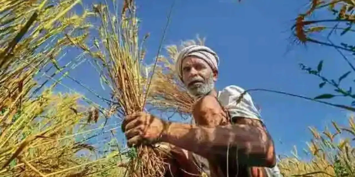 PM releases 8th instalment of Pradhan Mantri Kisan Samman Nidhi to over 9 crore 50 lakh farmers