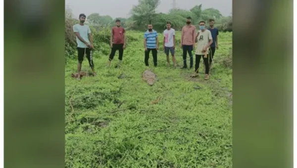 GSPCA and social Forestry department caught six foot crocodile from a field near Ganpatpura village