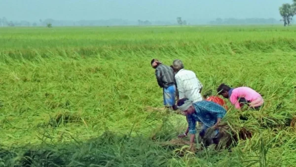 Cyclone Yaas damaged 2.21 lakh hectares of crops in West Bengal