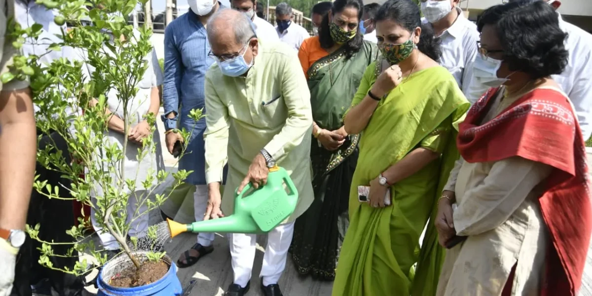 Vadodara Social Forestry Department with VMSS started cultivation of Roof Top Garden