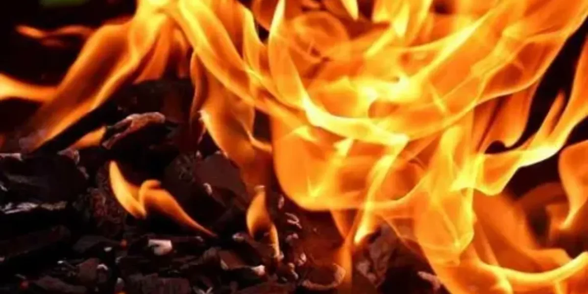 Massive fire broke at Gujarat Ink Factory