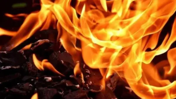 Massive fire broke at Gujarat Ink Factory