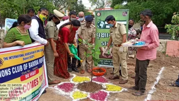 Social forestry department planted immortal tree saplings and celebrated Vat Savitri festival