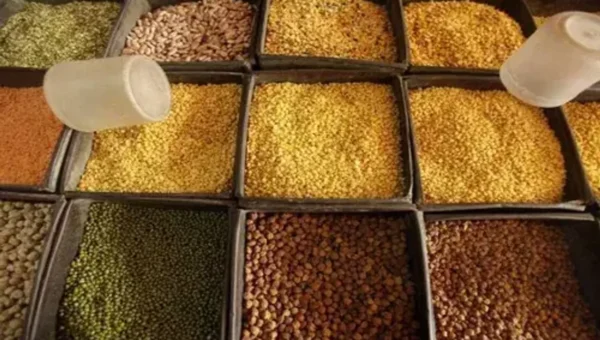 Government imposes stock limit for all pulses except moong till October 31