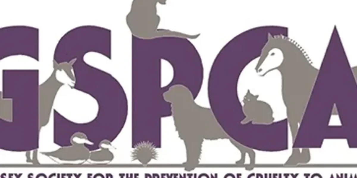 GSPCA Vadodara rescued 73 different varities of parrots from city and surrounding areas