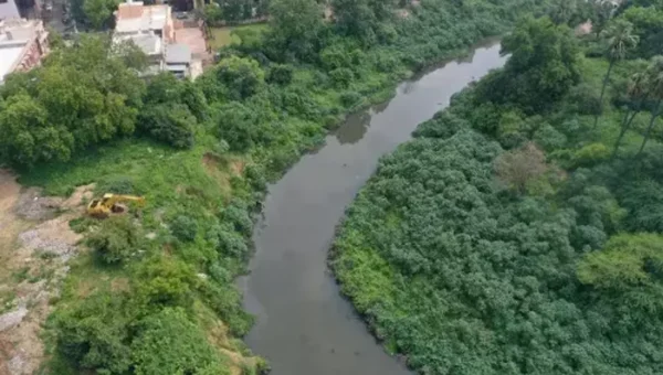 Gujarat SPCA Rajesh Bhavsar raised objection over the cleaning initiative at Vishwamitri
