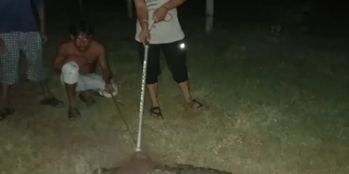 GSPCA and Social Forestry department caught nearly enough eight foot crocodile