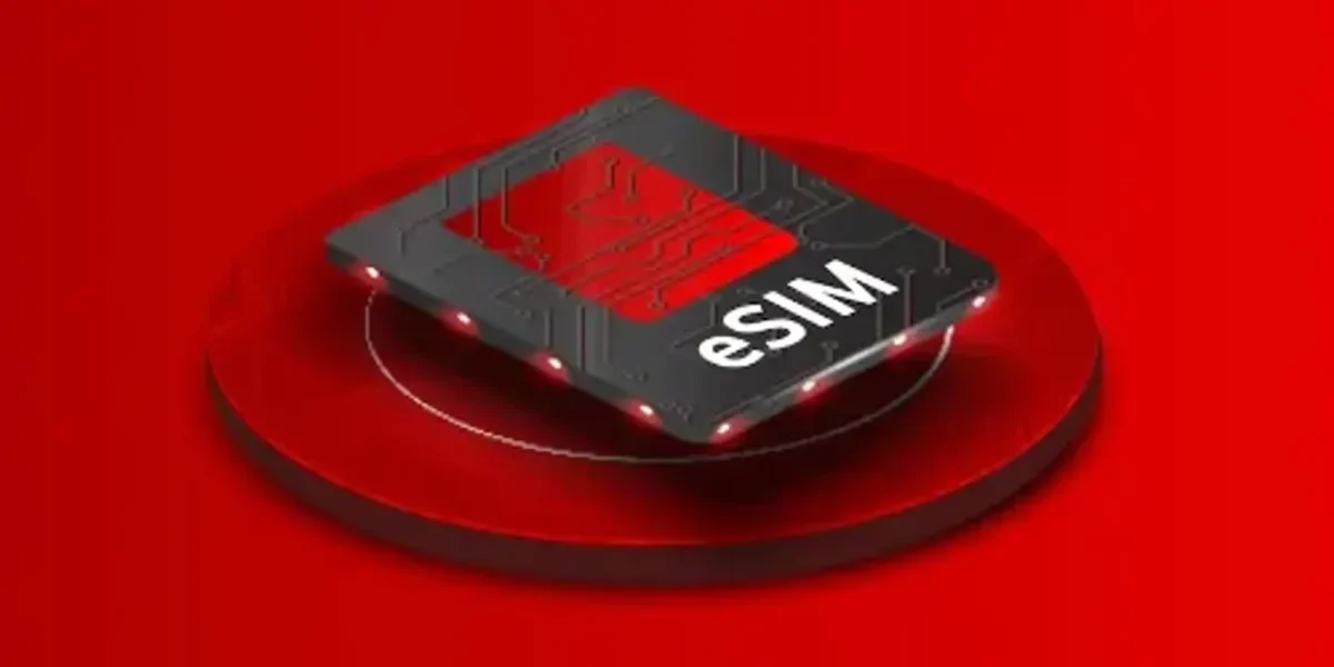 Company owner in Vadodara lost 46 lakhs to fraudsters in online e sim fraud