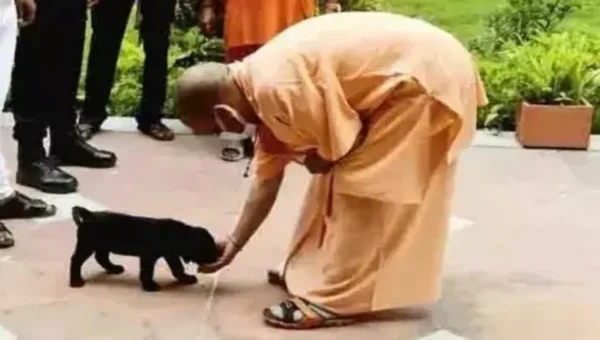 Yogi Adityanath’s pet dog ‘Gullu’ turns into Internet sensation