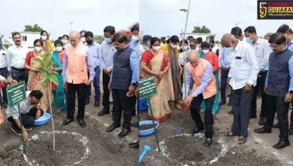Tree Plantation program held at Gujarat Central University under construction campus at Kundhela