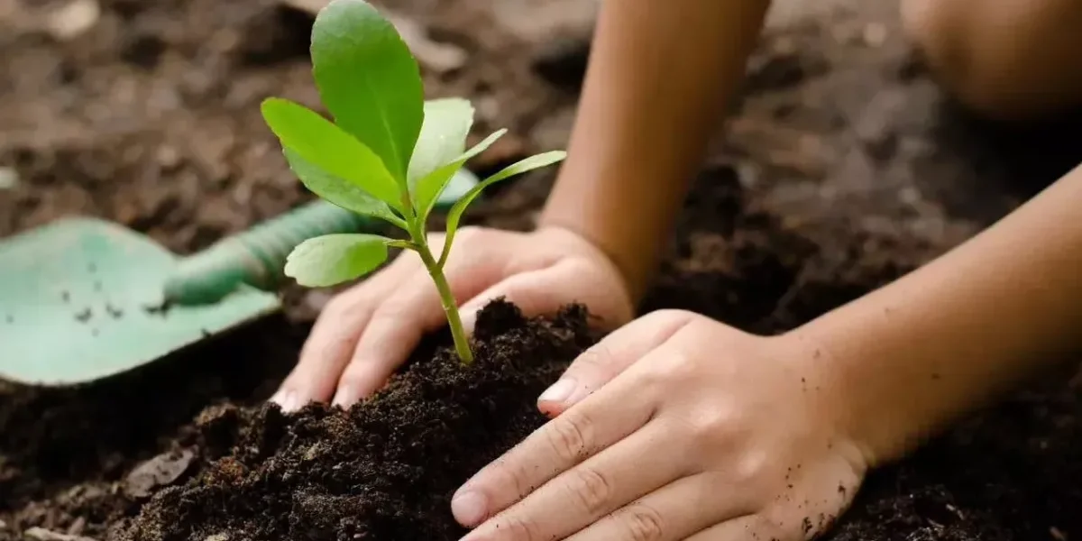 Tree festival launched by VYO in Vadodara