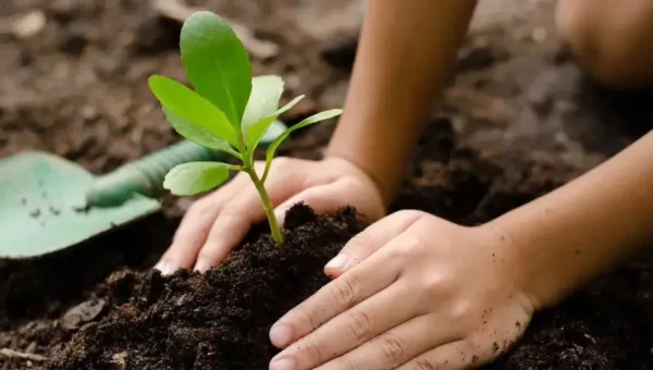 Tree festival launched by VYO in Vadodara