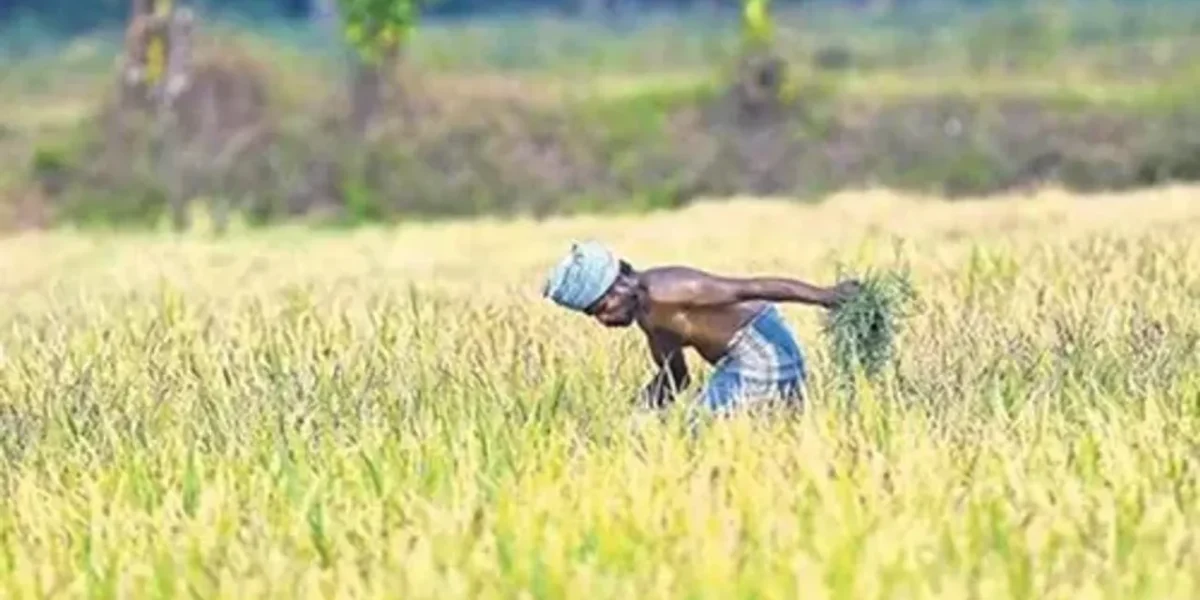 PM Modi to release next installment of financial benefit under PM-KISAN scheme today