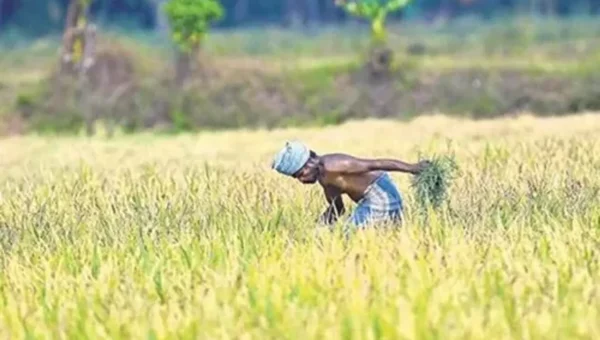 PM Modi to release next installment of financial benefit under PM-KISAN scheme today