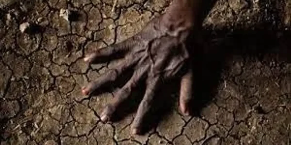 India to face irreversible impacts of climate crisis says IPCC report