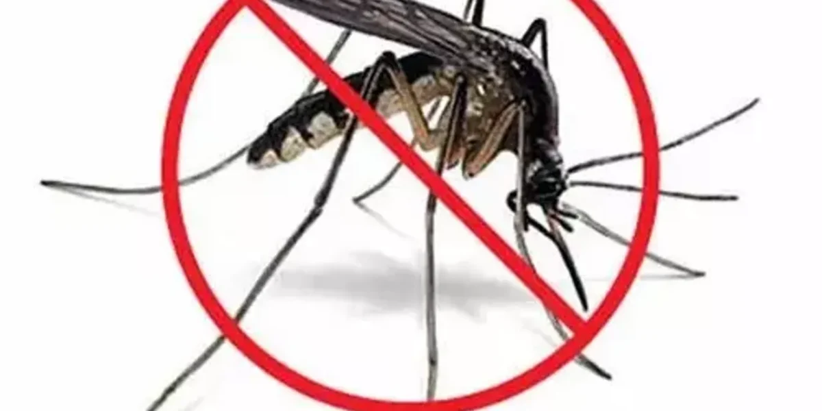 More than 3.21 lakh houses surveyed In the first round of intensive mosquito control operation in Vadodara district
