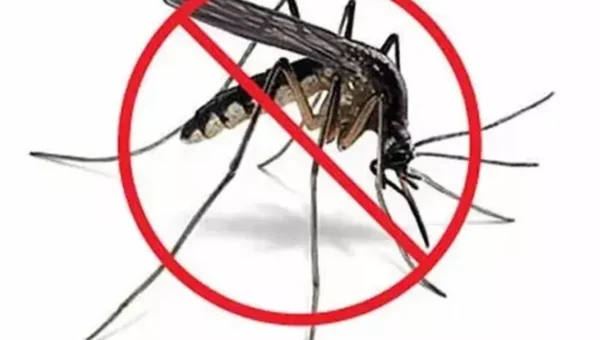 More than 3.21 lakh houses surveyed In the first round of intensive mosquito control operation in Vadodara district