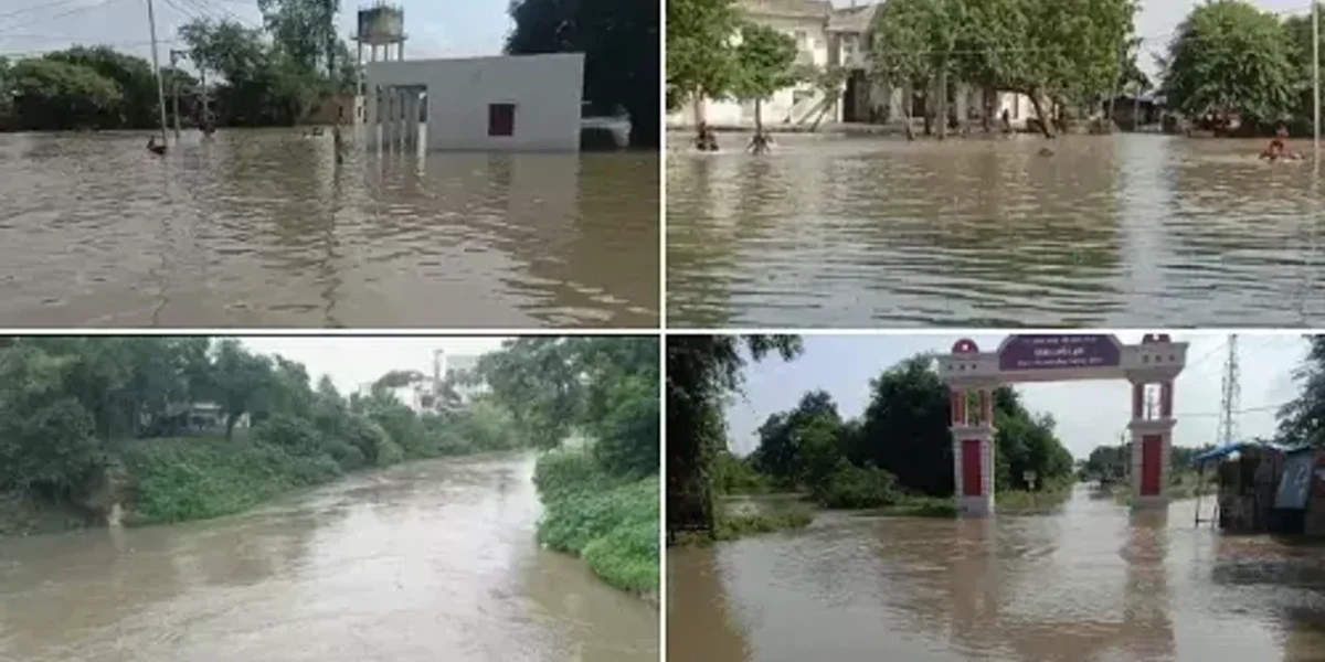 Vishwamitri river level rose due to heavy rains in the upstream region