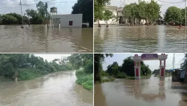 Vishwamitri river level rose due to heavy rains in the upstream region