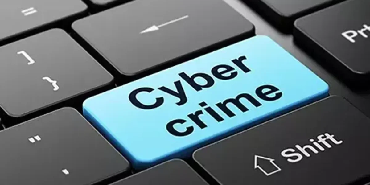 Vadodara cyber crime registered case against gang for cheating a student looking for job
