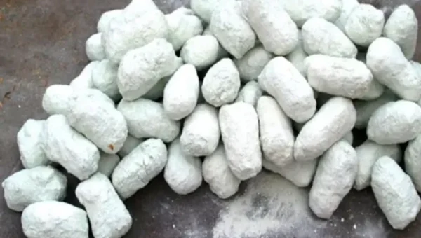 DRI seizes nearly 3,000 kg heroin worth Rs 15,000 crore at Mundra port