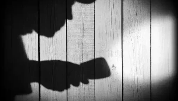 Thieves targeted closed house in Vadodara and decamp with jewellery and cash worth five lakhs