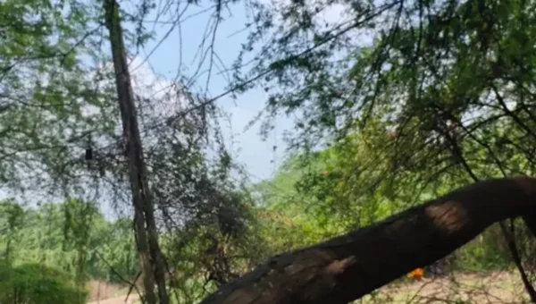 Mother and son have lost their lives due to negligence of electricity department in Koyli