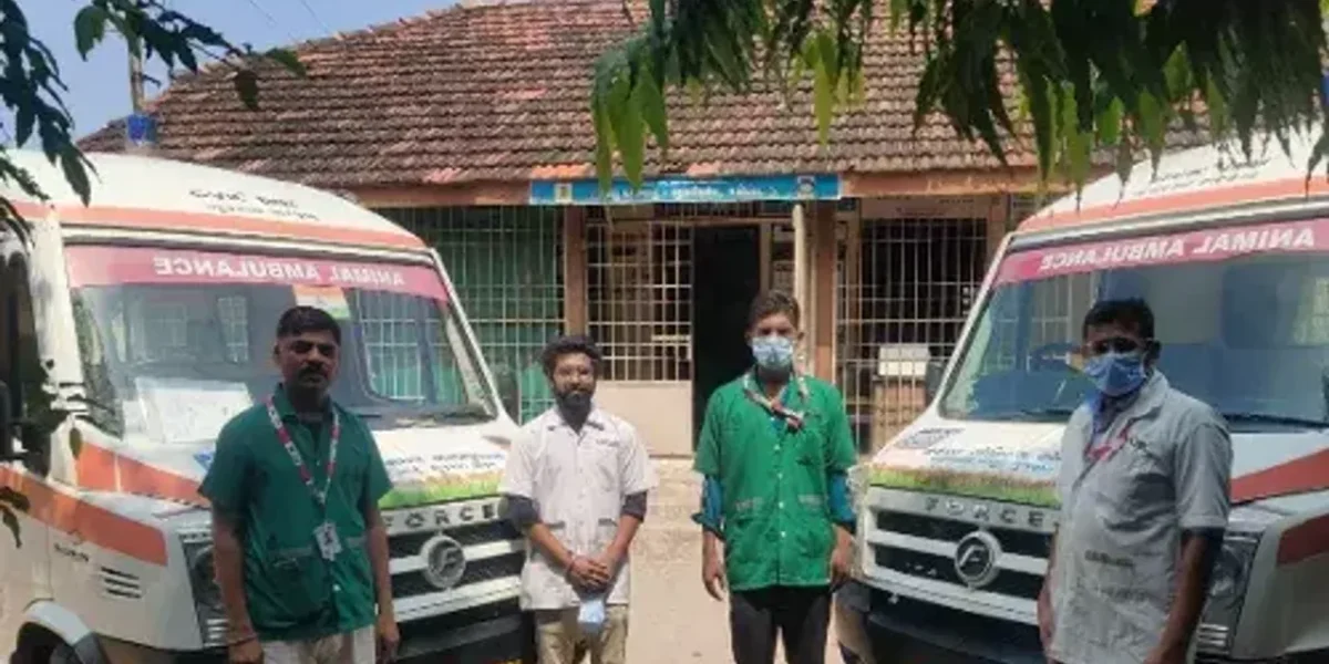 Karuna Ambulance saved the lives of 22,470 animals in last four years in Vadodara district