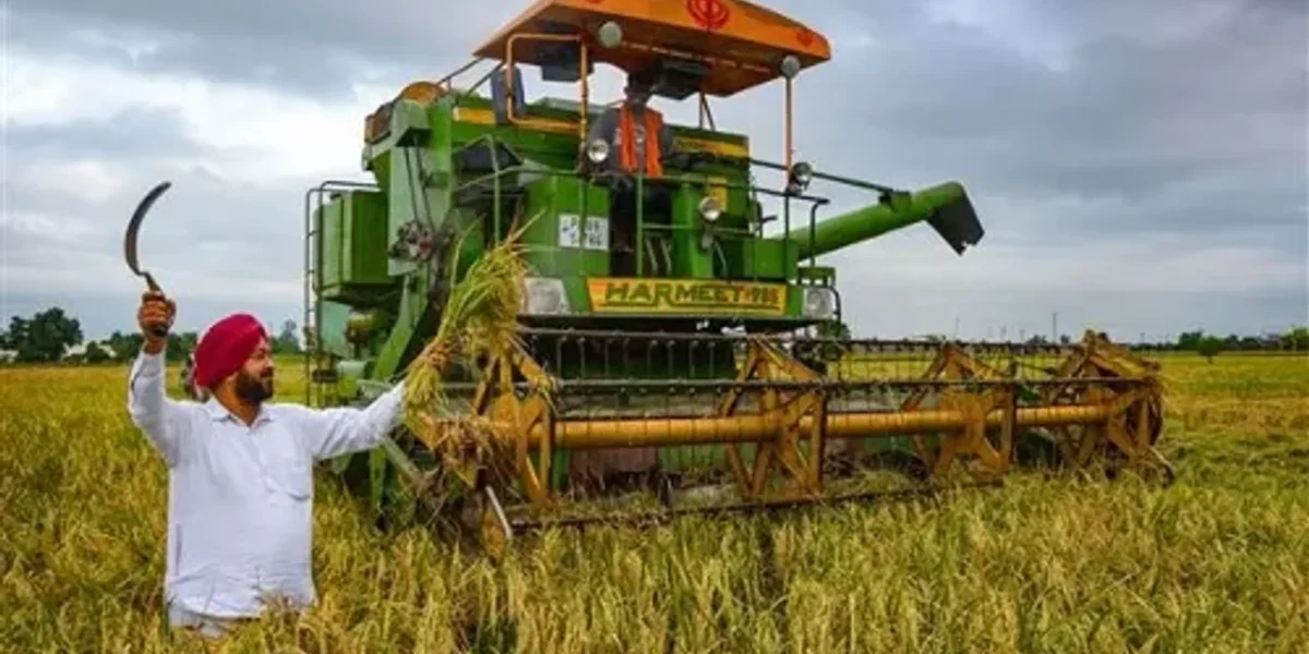 Paddy procurement in Haryana and Punjab to start today