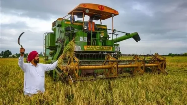 Paddy procurement in Haryana and Punjab to start today