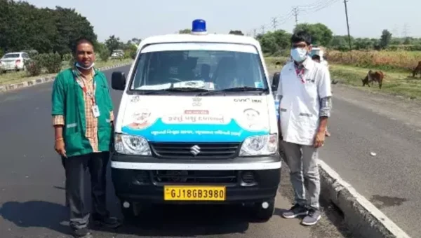 Immediate treatment by Mobile veterinary clinic save life of injured calf near Vadodara