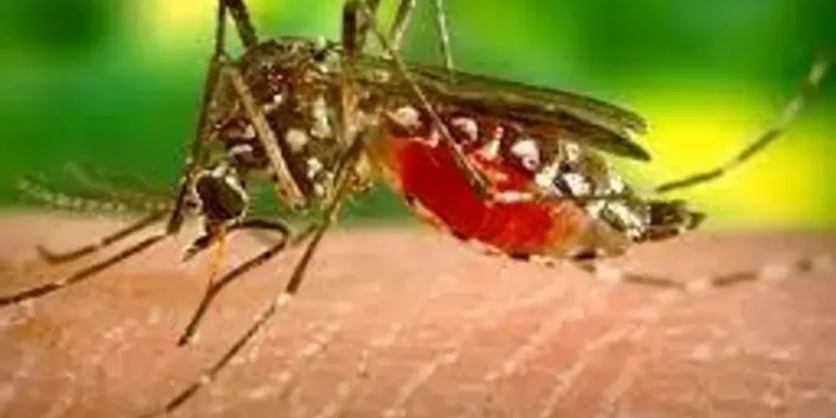 Multi-disciplinary team rushes to Kanpur following Zika reports