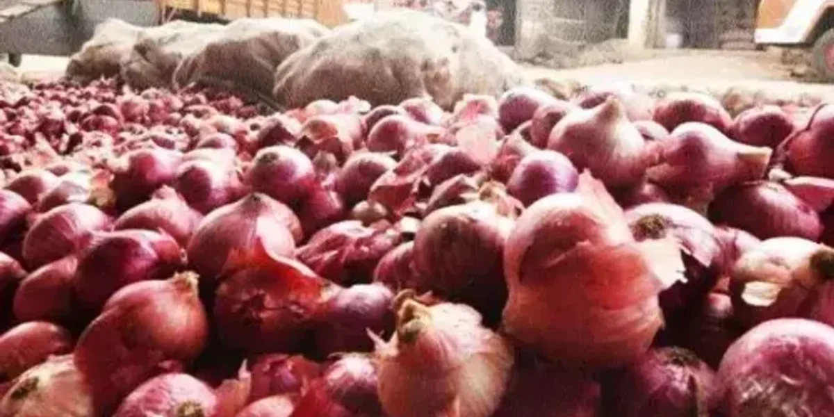Over 650 people fall ill in US due to disease linked to raw onions