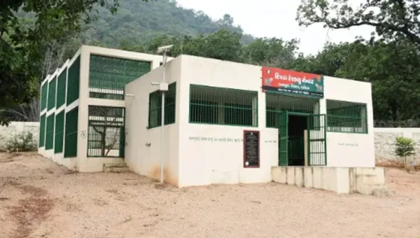Gujarat Chief Minister Bhupendra Patel decided to set up two mega rescue centers at Amreli and Jambughoda for leopards