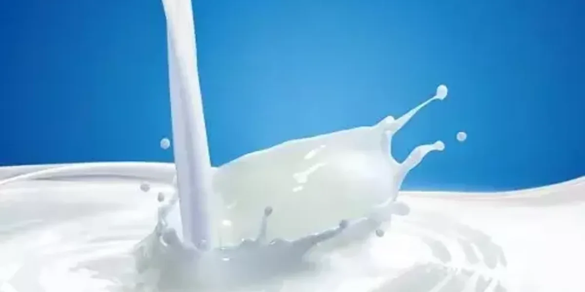 National Milk Day 2021: Health Benefits of Drinking Milk with Breakfast