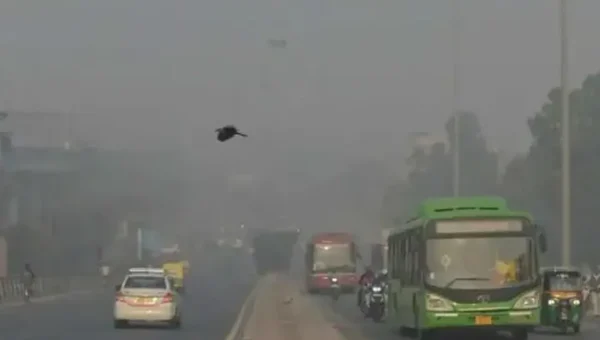 Delhi govt informs SC it is ready for lockdown to curb pollution