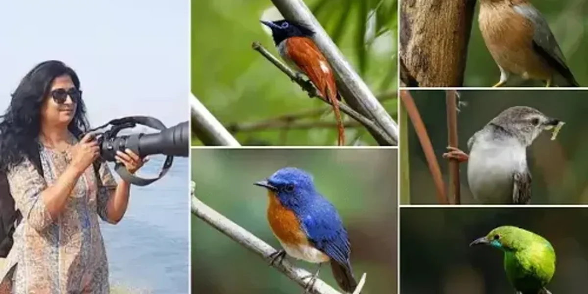 Woman photographer clicked about 200 birds in and outside Vadodara in last six years