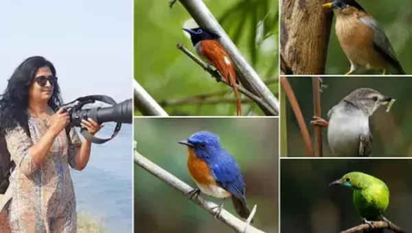 Woman photographer clicked about 200 birds in and outside Vadodara in last six years
