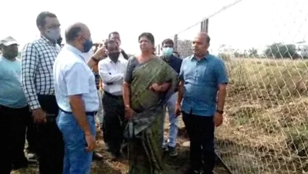 Vadodara corporation first step towards relocating cattle keepers as part of cattle free city