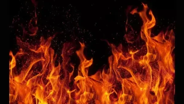 Old woman died in a fire broke out in company in Vadodara