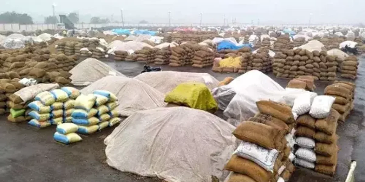 Rain in 30 talukas in Gujarat has sparked fears of crop destruction