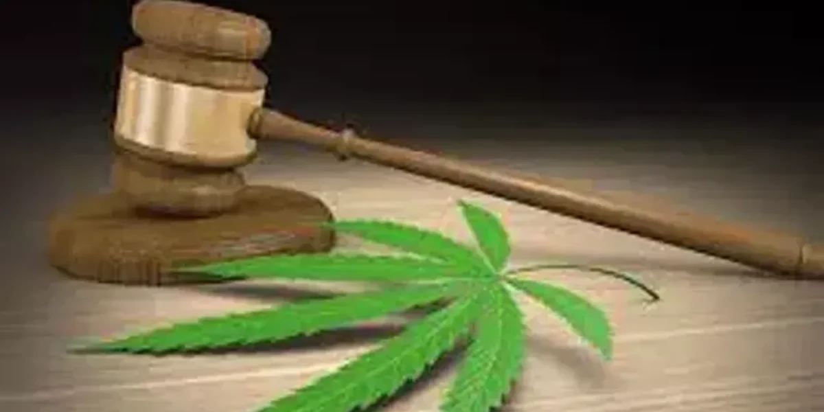 Cannabis legalization is going global- Malta to legalize