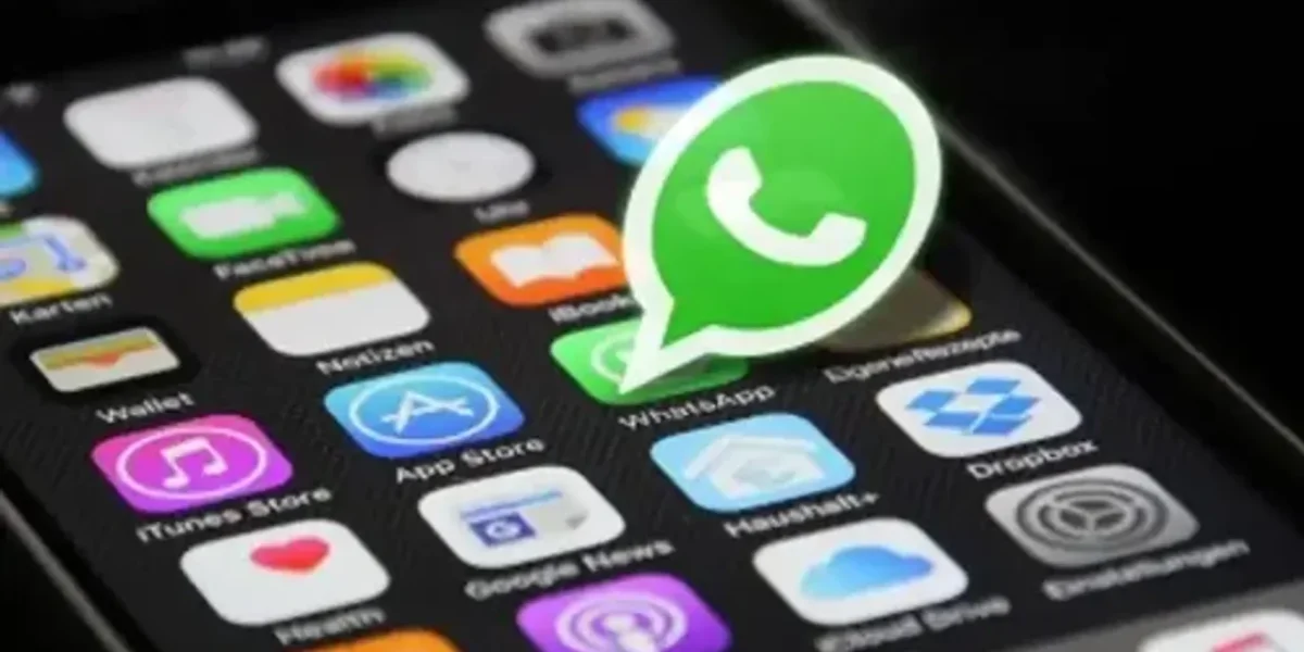 WhatsApp users will be able to search for businesses in their nearby area