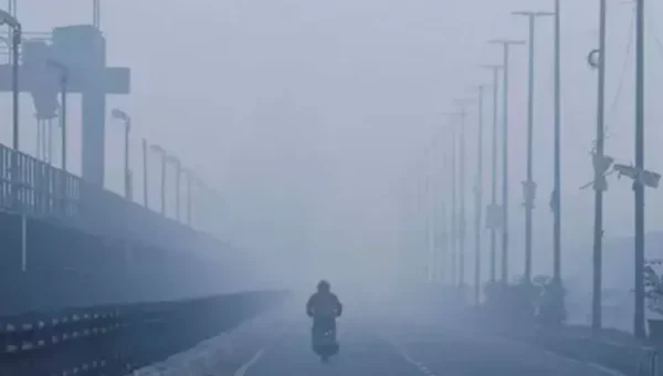 Gujarat is anticipated to have a cold wave until Wednesday, according to IMD